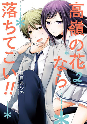 [Manga] 高嶺の花なら落ちてこい！！ 第01-02巻 [Takane no Hana Nara Ochi Tekoi!! Vol 01-02] RAW ZIP RAR DOWNLOAD